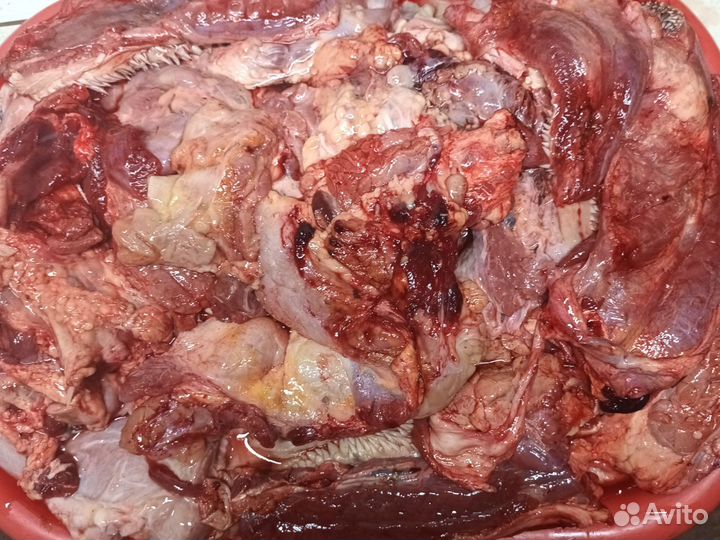 Мясные обрезки для собак