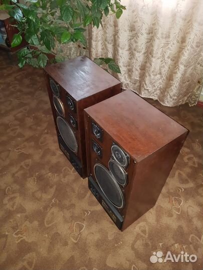 Колонки радиотехника s90