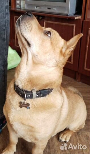 Адресник с гравировкой