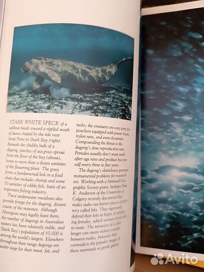 Журналы National Geographic на английском языке