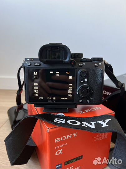 Sony Alpha a7r iii (ilce-7RM3) и Zeiss Distagon