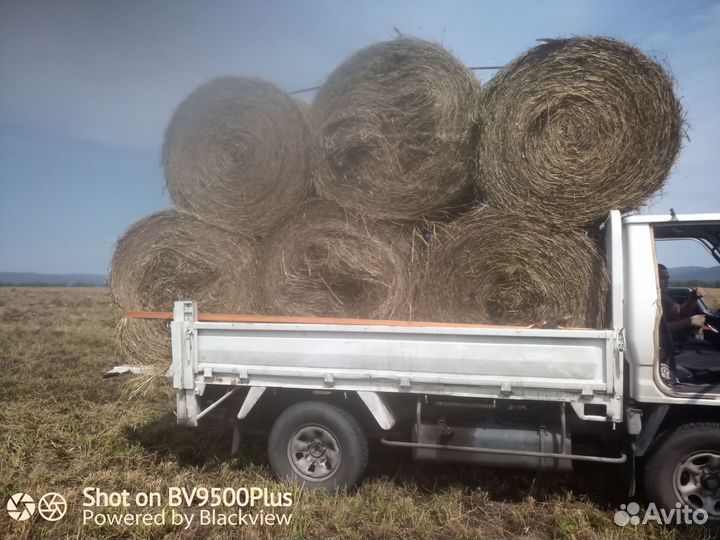 Сено в рулонах с доставкой