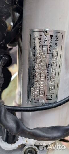 Avantis fx 250 lux 2021