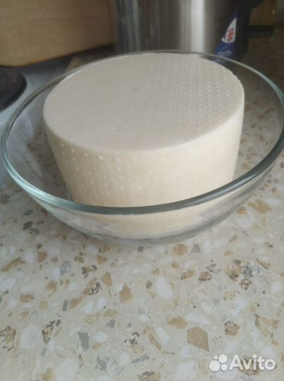 Козий сыр, молоко, утки