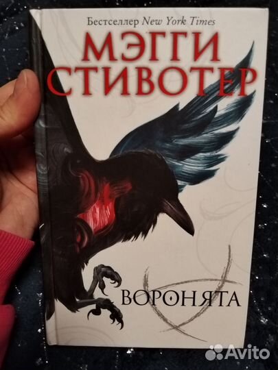 Мэгги Стивотер