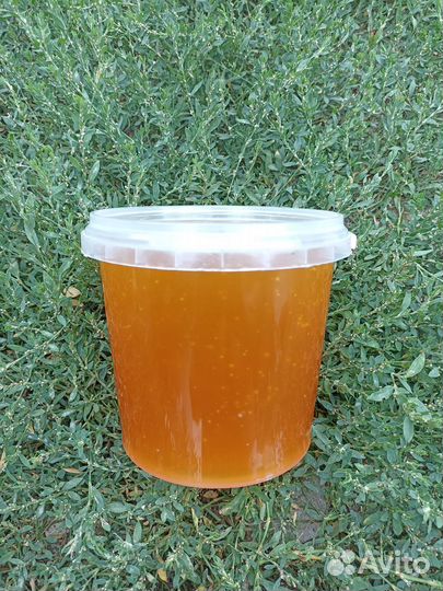 Мёд из Софоры