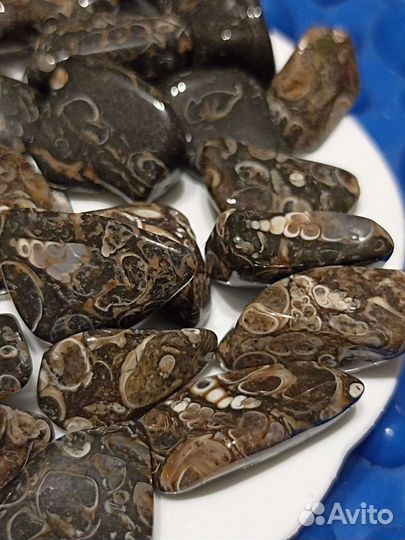 Агат черепаховый