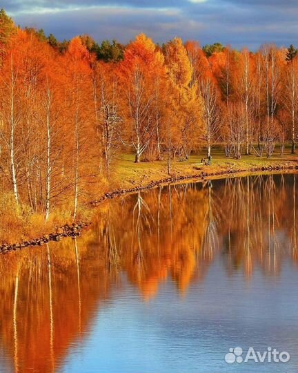 Печь в зимнюю палатку