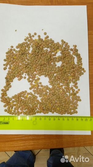 Пшеница, ячмень, горох, реализация