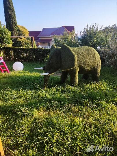 Топиари фигура Слон