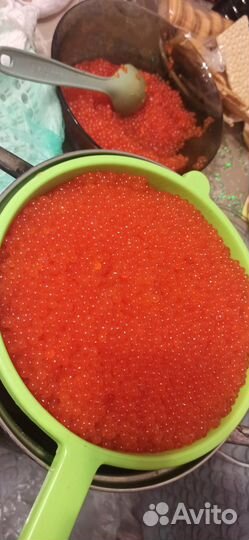 Красная икра горбуши