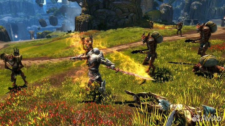 Kingdoms of Amalur Re-Reckoning NSW