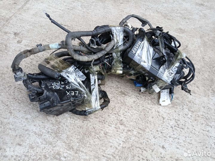 Lexus is 250 проводка моторного отсека