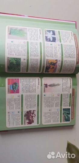 Книги энциклопедии Комнатные растения