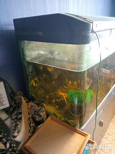 Аквариум
