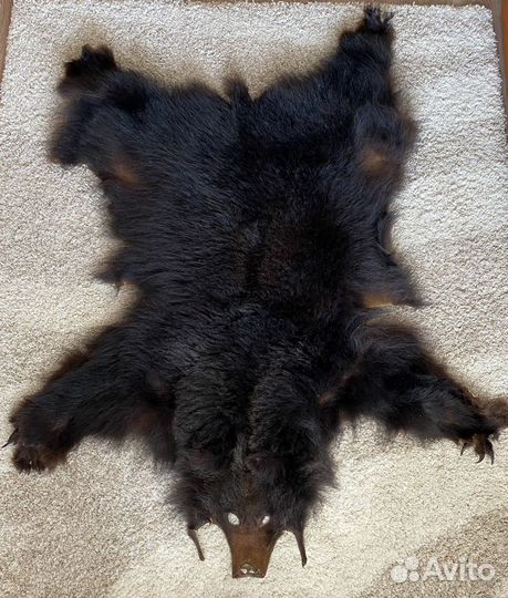 Шкура медведя