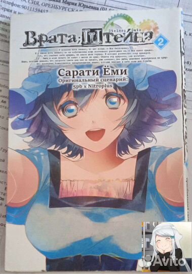 Манга врата штейна