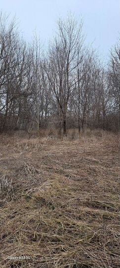 Участок 22 сот. (ИЖС)