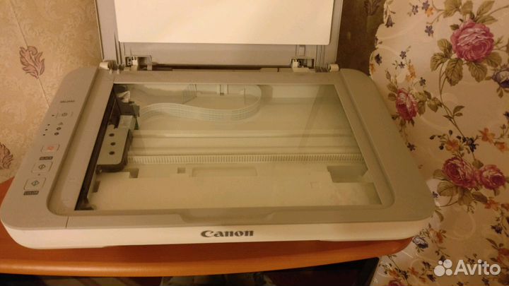 Мфу Canon MG2440