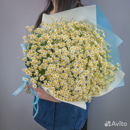Букет 101 ромашка кустовая кустовая, цветы доставк