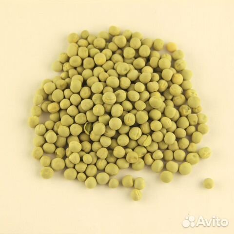 Семена горошка «Мадрас» 100 грамм