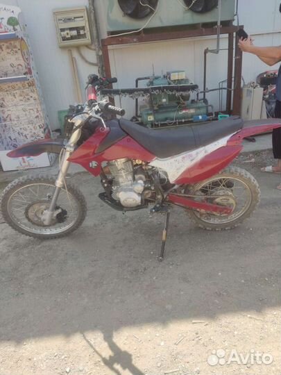 Racer 200xzt