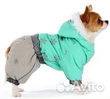 Одежда для животных