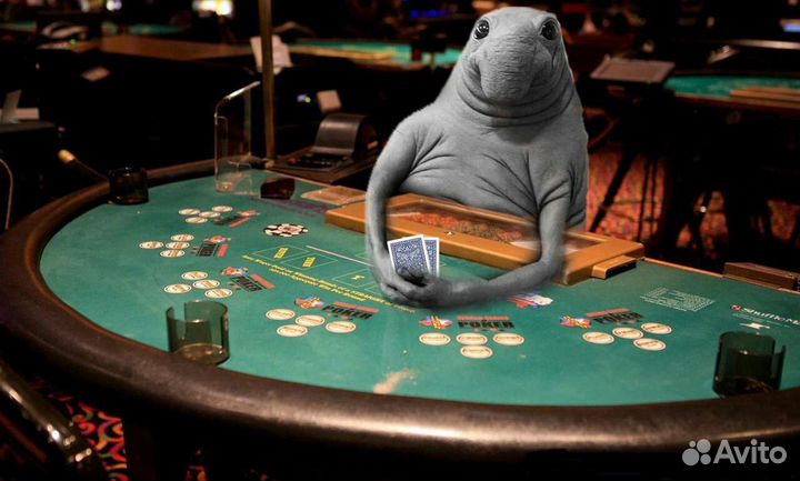 Крупье на Покер, Рулетку, Блэк Джек