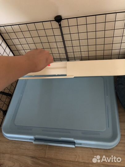 Лоток для собак