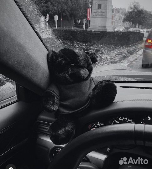 Черный мишка blckbo