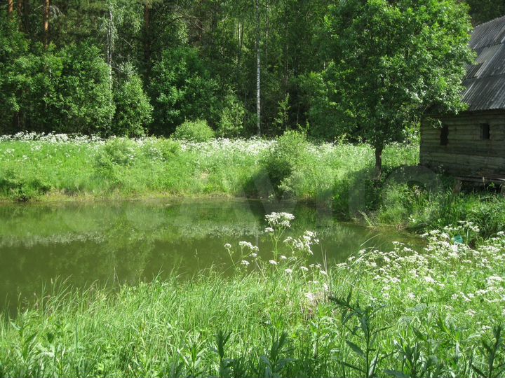 Участок 10 га (СНТ, ДНП)