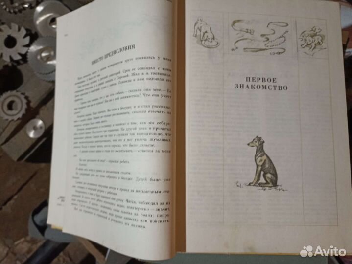 Книга о воспитании собак