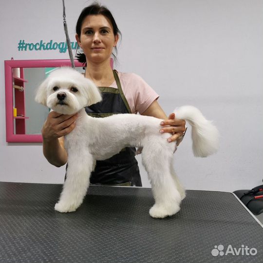 Грумер стрижка собак и кошек