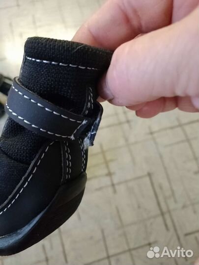 Ботинки для маленьких собак