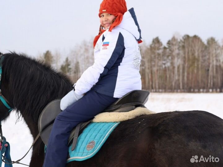 Аренда теплой беседки домика