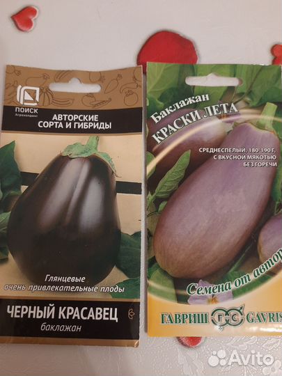 Рассада баклажан