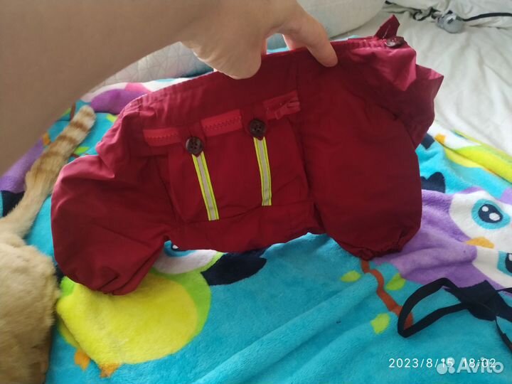 Балоневый комбез на собачку, новый