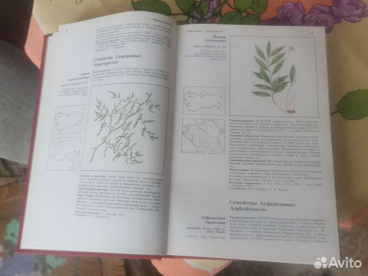 Красная книга РСФСР