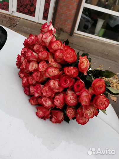 51 роза с доставкой, букет роз с доставкой