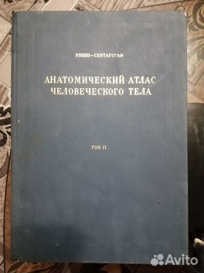 Анатомический атлас человеческого тела