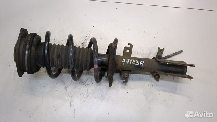 Амортизатор подвески Renault Kangoo, 2016