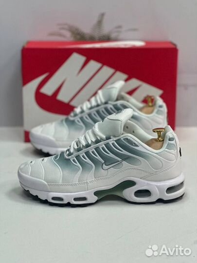 Кроссовки мужские Nike Air Max TN Plus