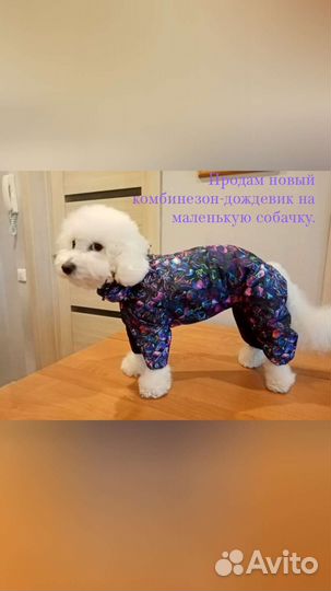 Новый комбинезон-дождевик на собачку