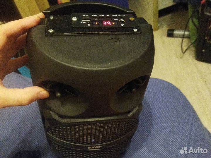 Колонка беспроводная с караоке