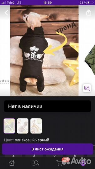 Одежда для собак