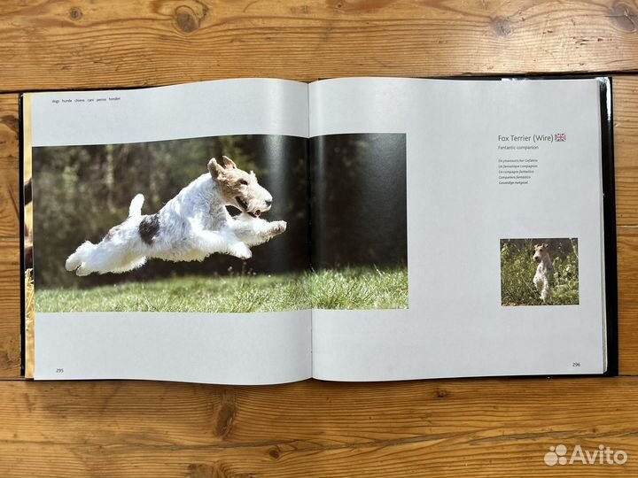 Книги про собак
