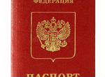 РВП, Гражданство РФ, патент