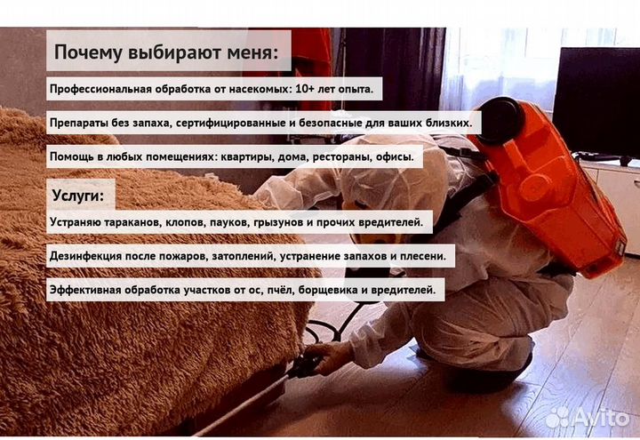 Средство против тараканов клопов