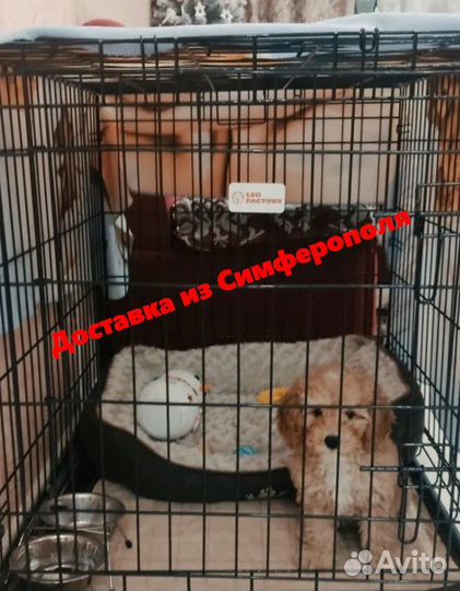 Клетка любого размера доставка в Гурзуф