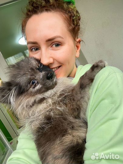 Передержка собак /выгул собак /зооняня / зоотакси